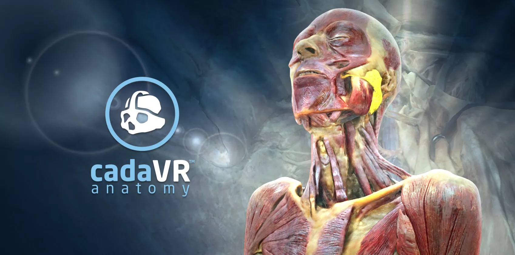 Now available on Oculus VR, Pico VR and Chrome OS!