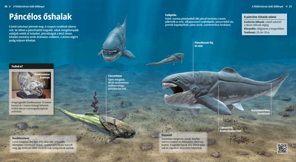 Prehistoric Armoured Fishes