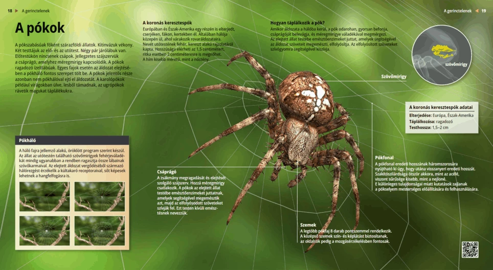 Scorpions: Small but Deadly