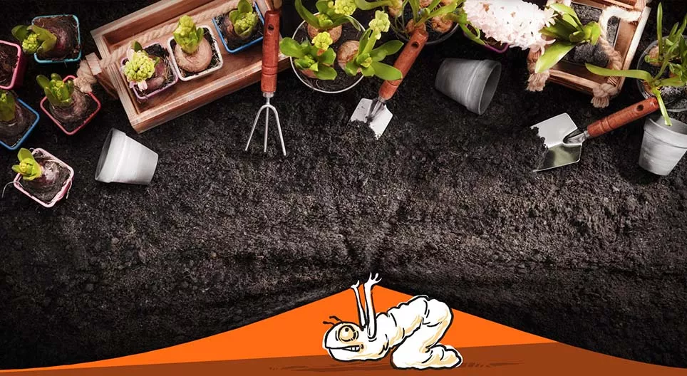 Qu'est-ce qui se passe dans le jardin ?