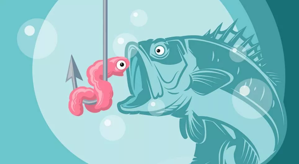 Allons à la pêche !