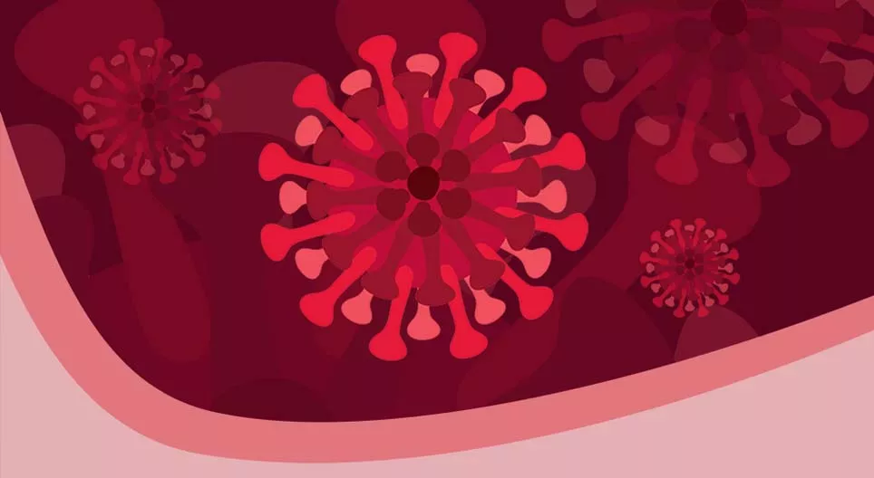 Tout ce qu'il faut savoir sur les coronavirus et la COVID-19