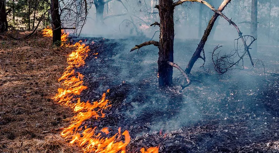 Depuis quand utilisons-nous le feu ?