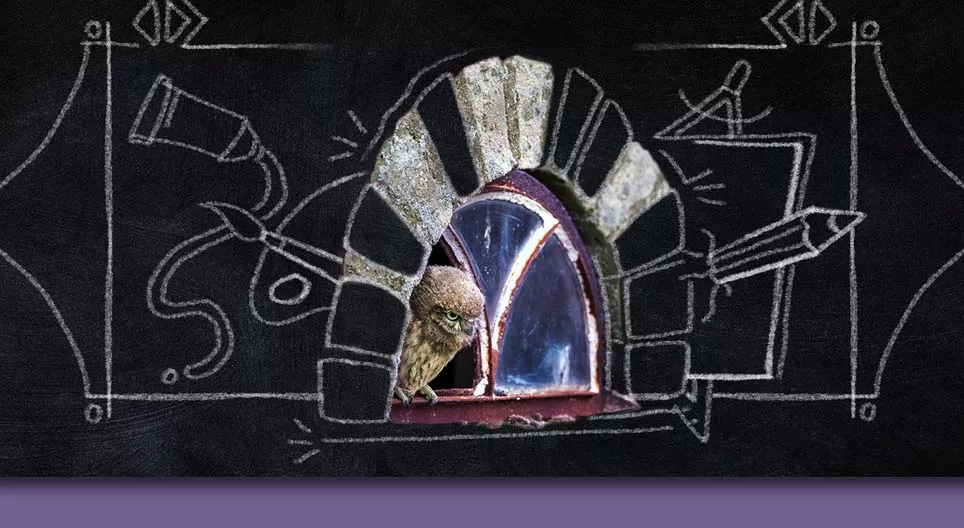 Les fenêtres sont-elles toutes les mêmes&nbsp;?