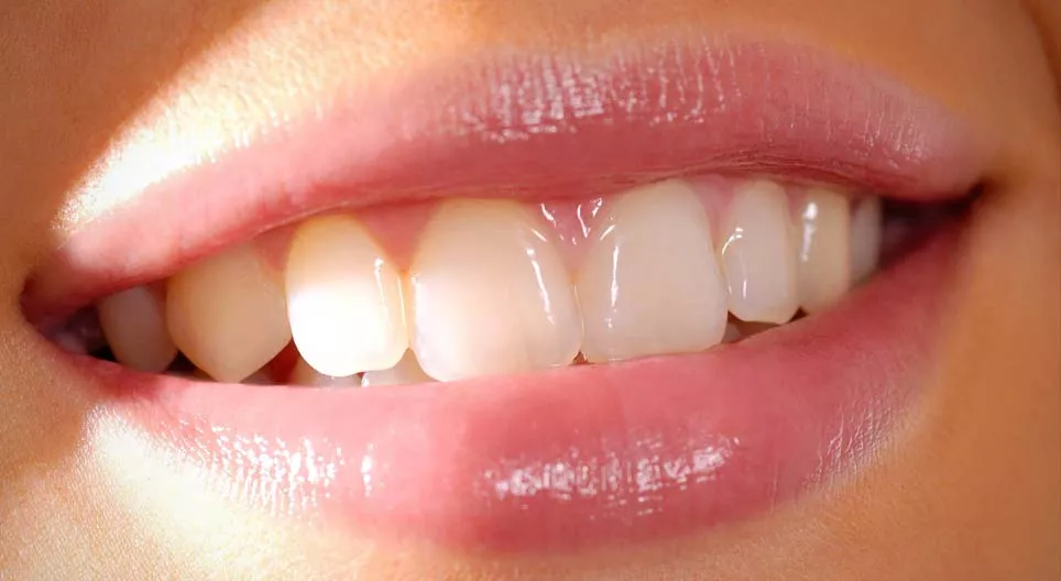 Que savons-nous des dents ?