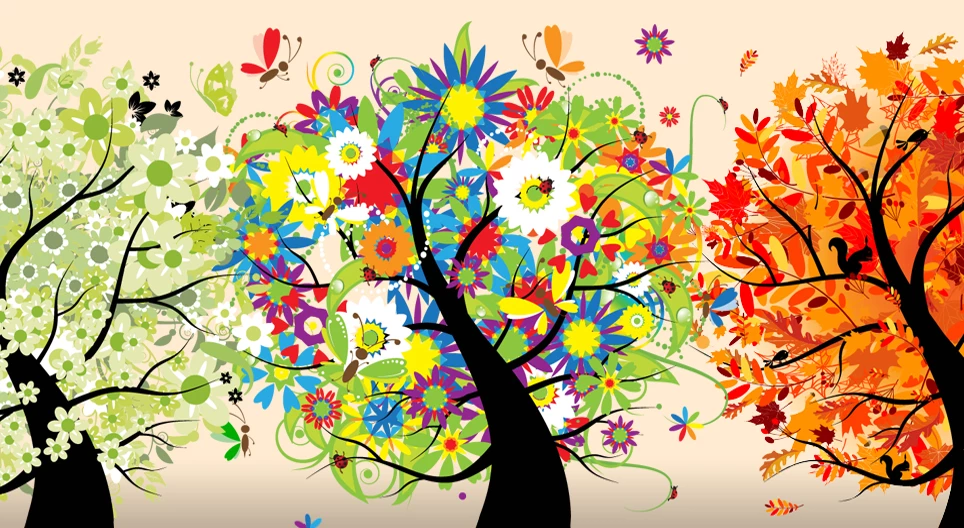 Que sont les saisons ?