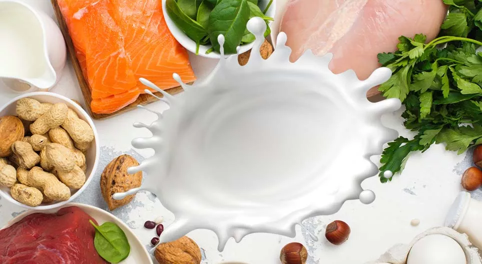 Les « blocs de construction » du corps humain, les protéines