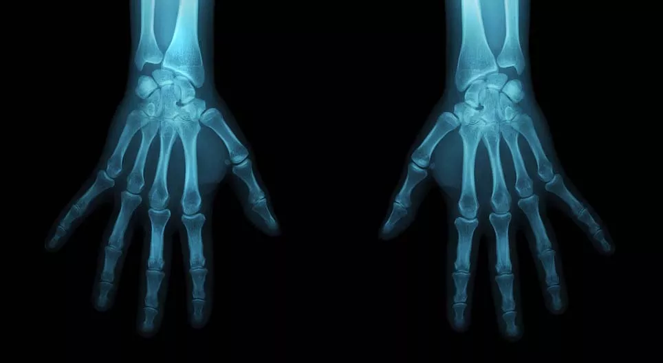 Devenez un anthropologue judiciaire&nbsp;!