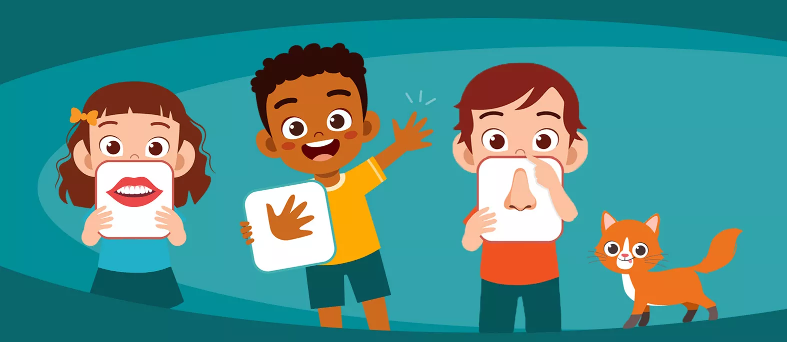 Les parties du corps