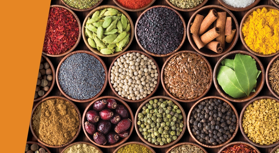 Mille saveurs sur votre langue