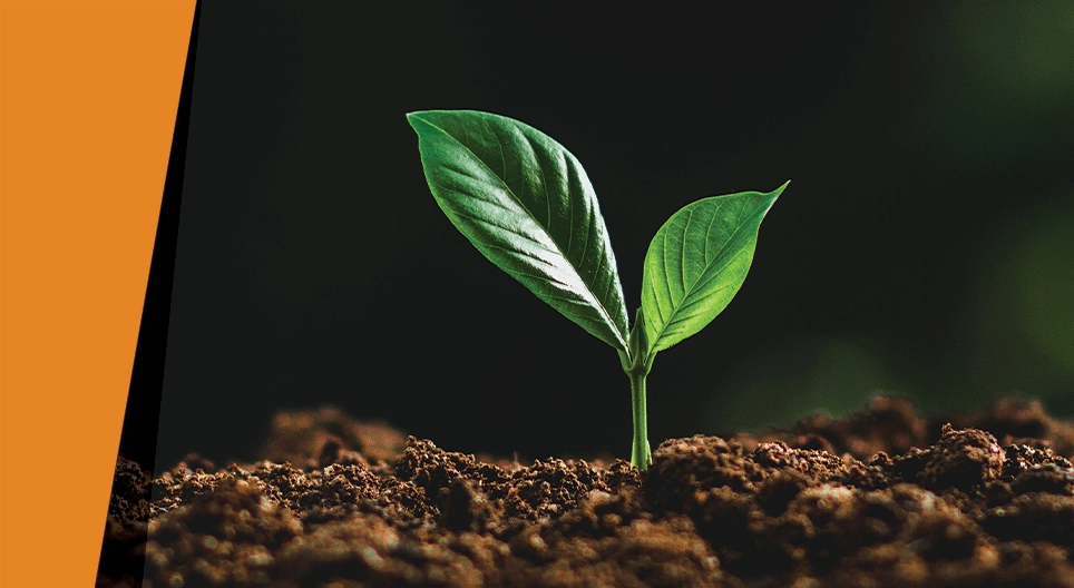 Dans l'obscurité de la nuit