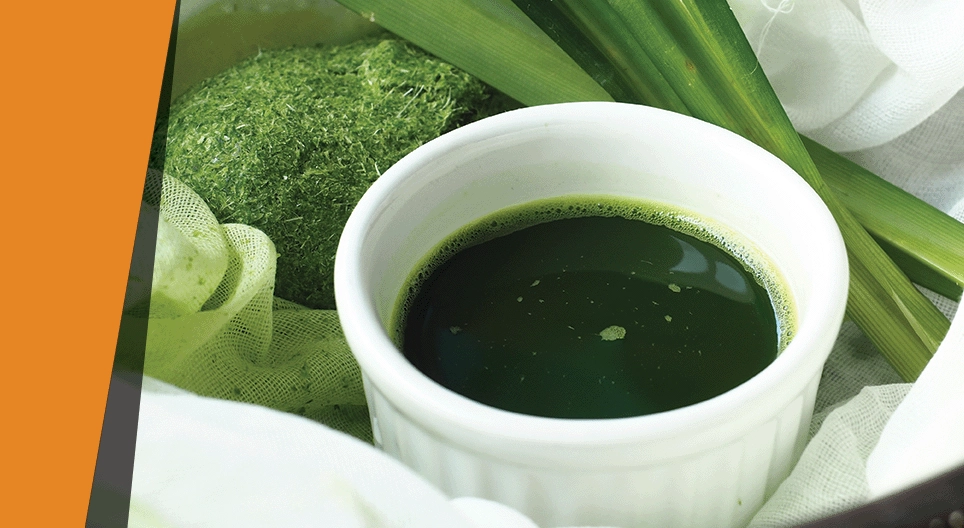 La couleur des feuilles