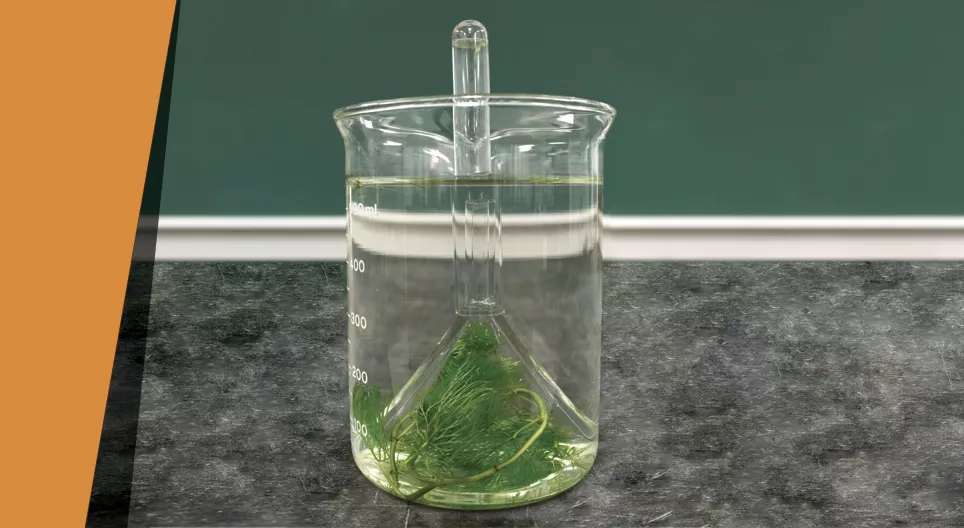 Oxygène fait maison