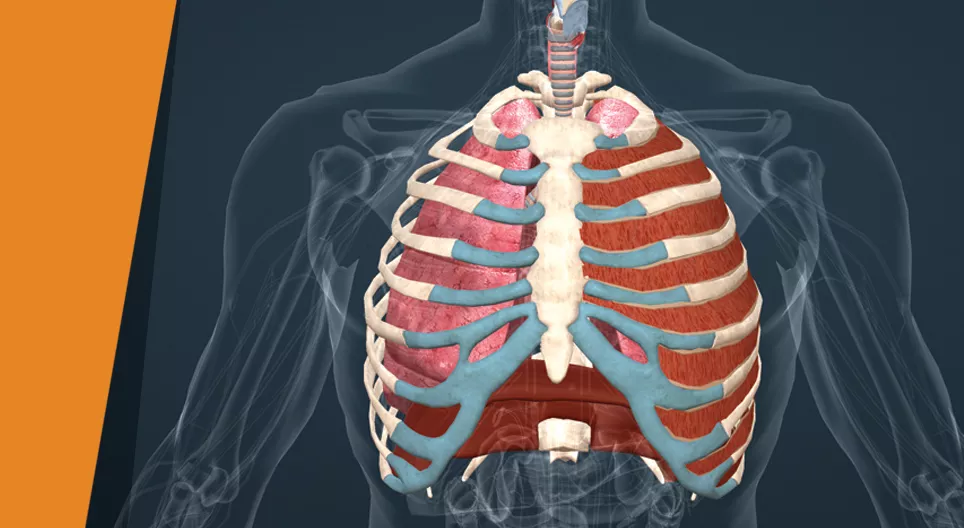 Prenez une grande inspiration