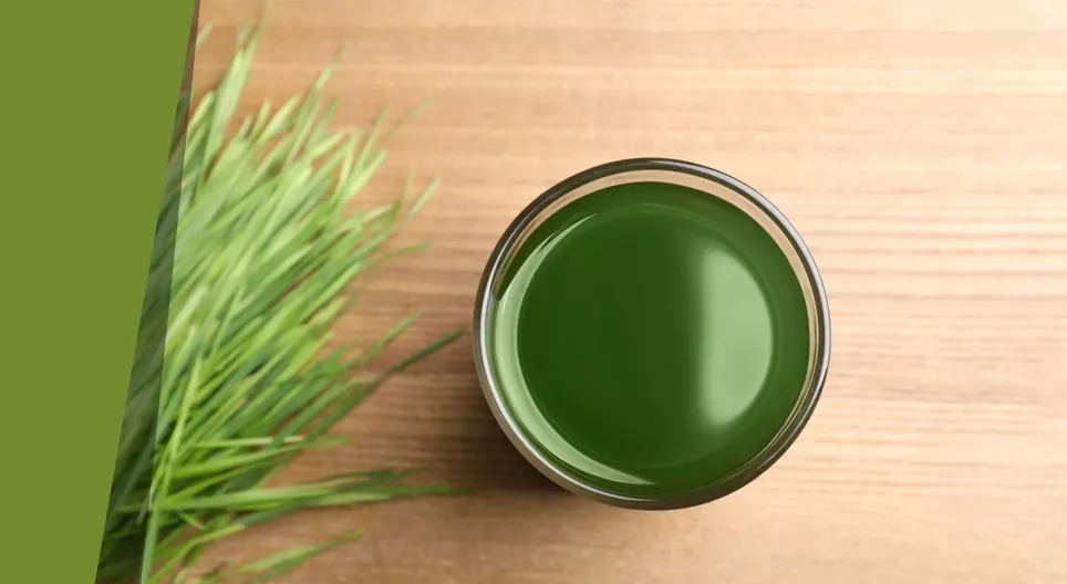 Les secrets de la soupe d'herbes