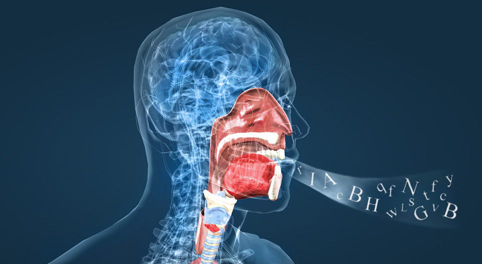 La production de la voix