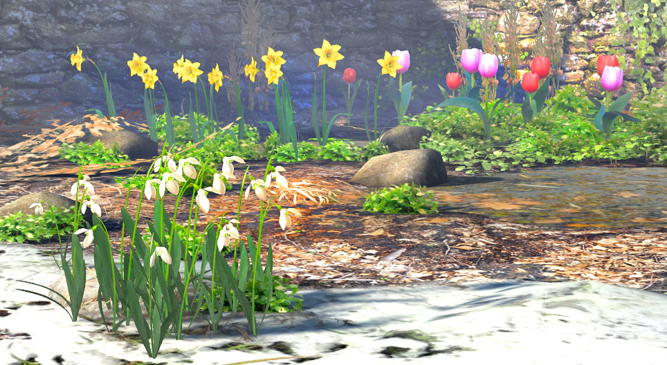 Plantes bulbeuses de printemps