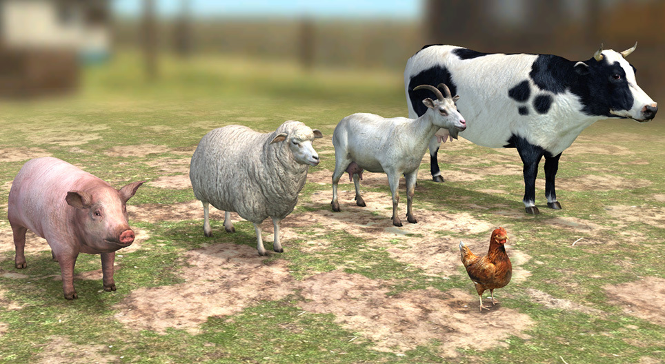 Les animaux d'élevage