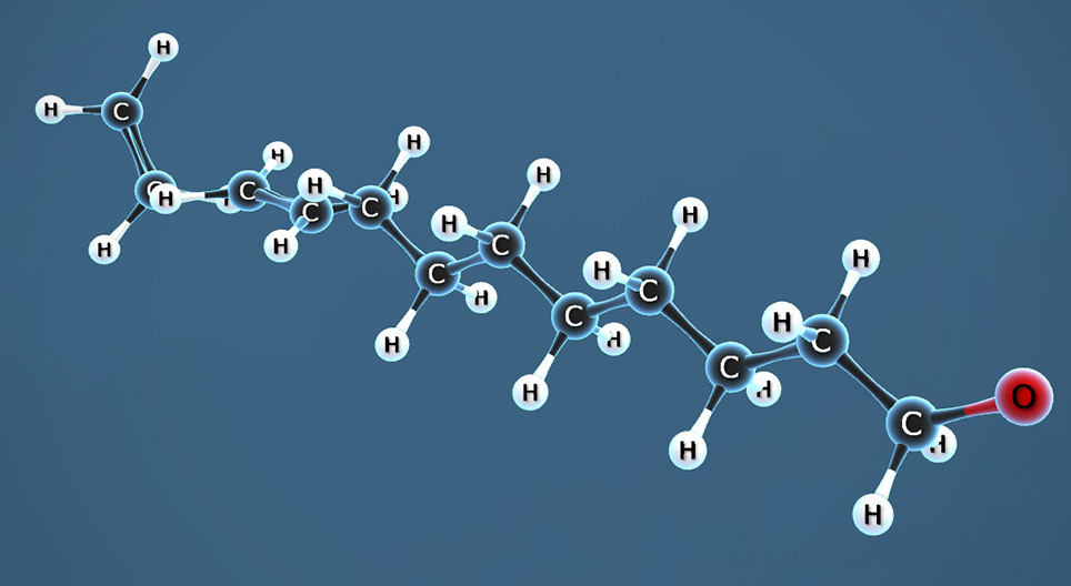 Polymérisation de l’éthylène