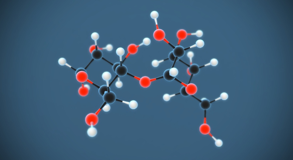 Maltose (sucre de malt) (C₁₂H₂₂O₁₁)