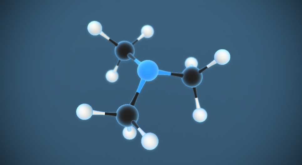 Triméthylamine N(CH₃)₃