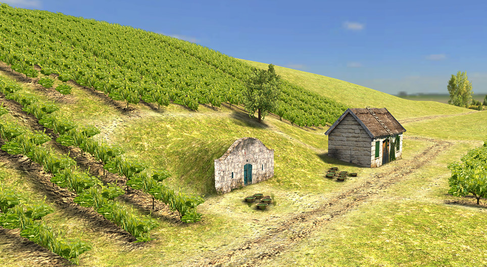 Le vignoble