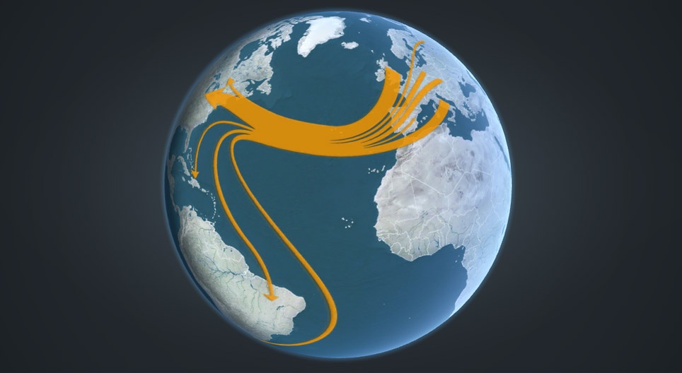 L'histoire des migrations humaines
