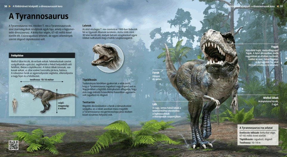 A Tyrannosaurus