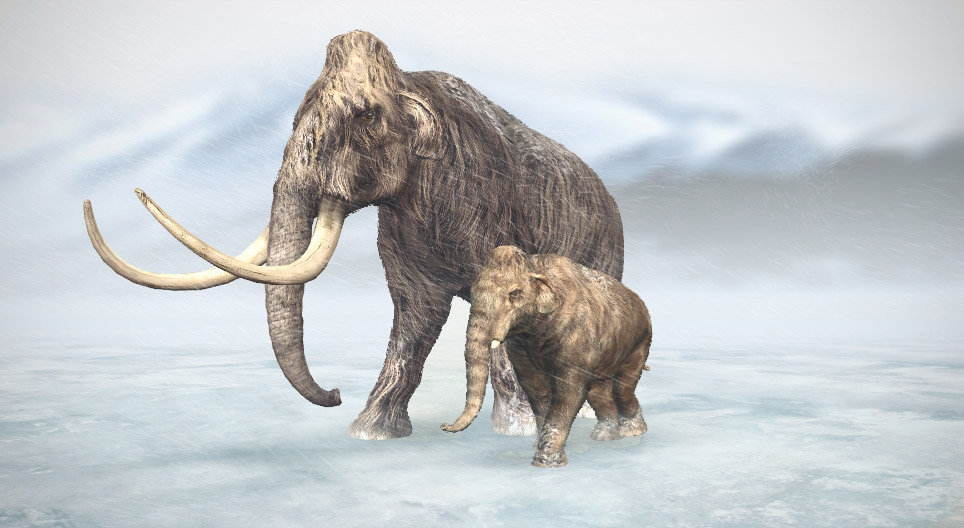 Mammut lanoso