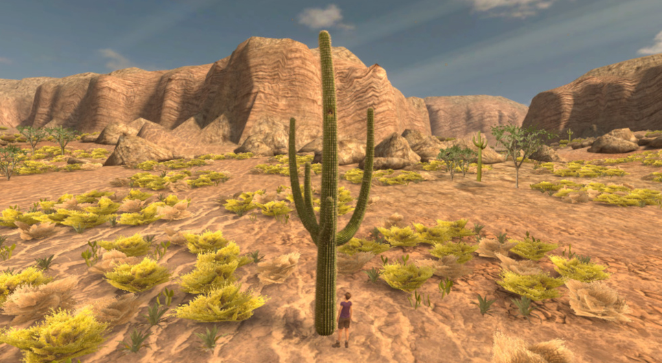 Cactus saguaro