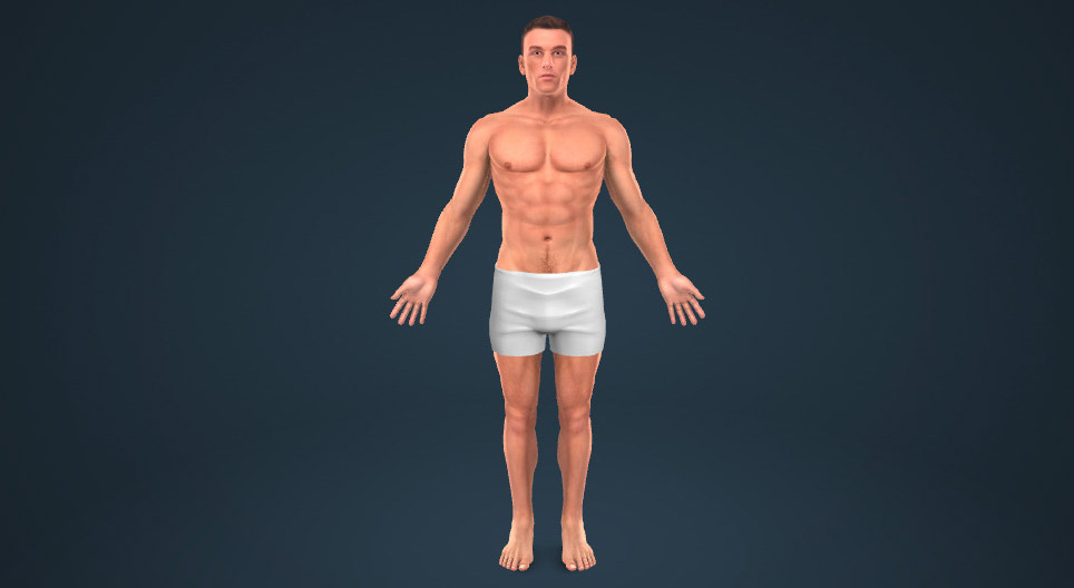 Parti del corpo umano