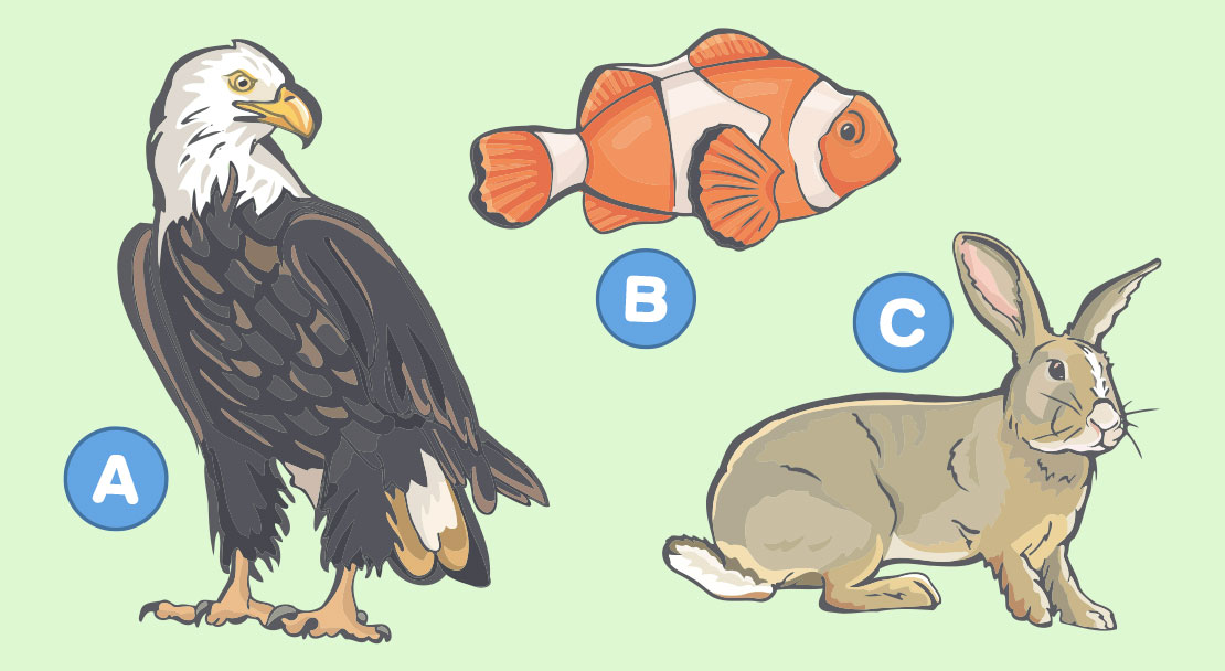 Welt der Natur Quiz