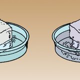 Suiker lost makkelijker op in warm water dan in koud water