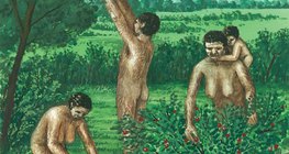 Humains préhistoriques, cueilleurs