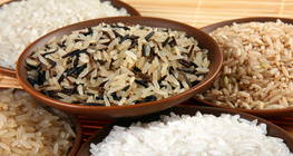 Types de riz
