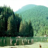 Lacul Rosu, Roemenië