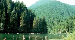 Lac Rouge, Roumanie