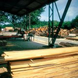 Stock de bois