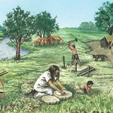 Veehouderij tijdens de Oudheid