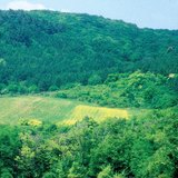 Veld om wilde dieren te voeren