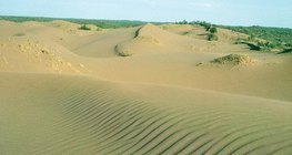 Sand hill with wind ripples