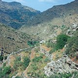 Flac de colline aride avec buissons de maquis