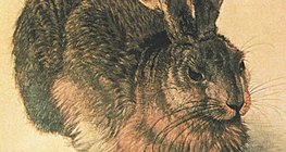 Albrecht Dürer - Le lièvre (1502)