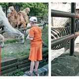 Een wandeling in de dierentuin