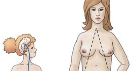 Hormonelle Regulation der Eizelle