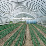 Binnenkant van een geïsoleerde plastic broeikast