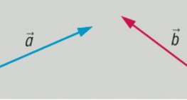 Vektor der Parallelverschiebung