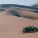 Dunes de sable dans le désert du Sahara