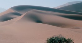 Dunes de sable dans le désert du Sahara