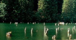 Le Lac Rouge en Transylvanie, qui fut formé par un glissement de terrain